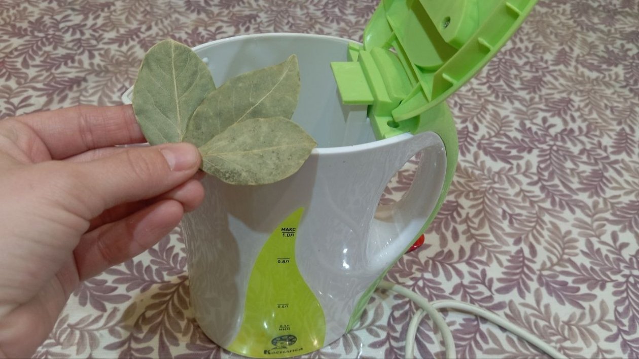 Кипячу воду в чайнике с лавровым листом — и он опять сияет внутри, как будто только купила ИА SevastopolMedia