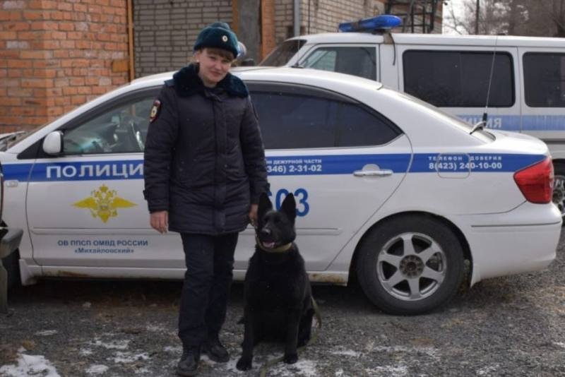 В Приморье служебная собака помогла задержать мужчину, жестоко избившего женщину УМВД России по Приморскому краю