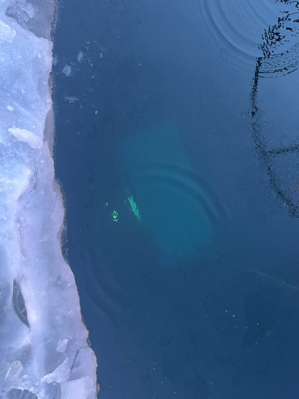 Подо льдом Байкала погибли китайские туристы и водитель &quotУАЗа&quot МВД по Иркутской области