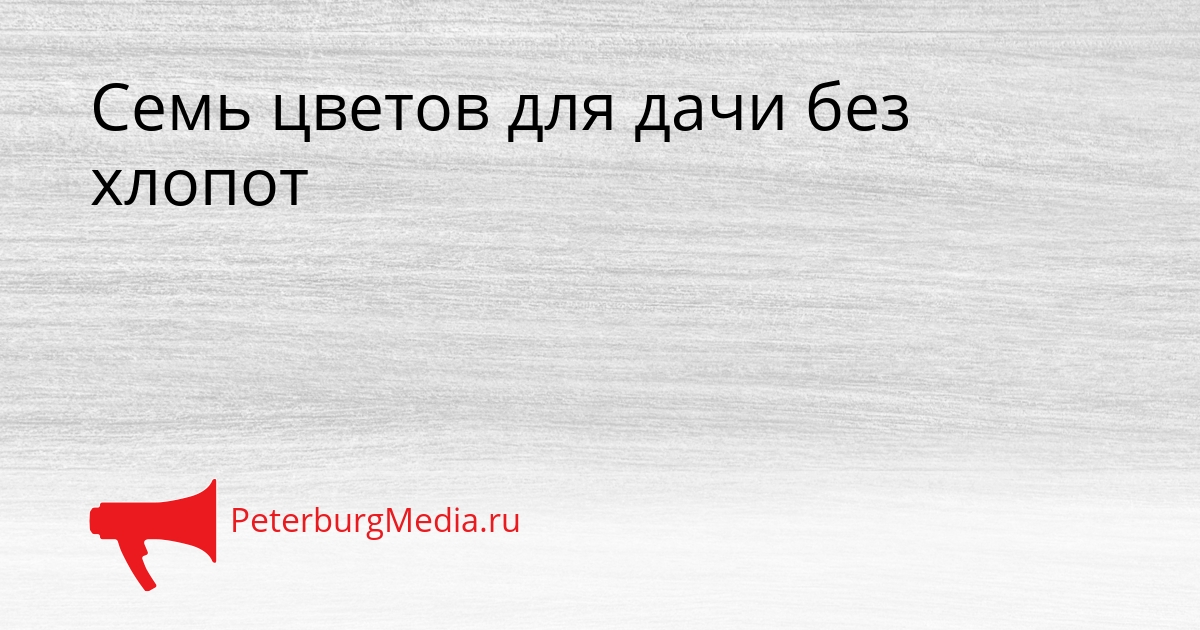 Семь цветов для дачи без хлопот Сгенерировано