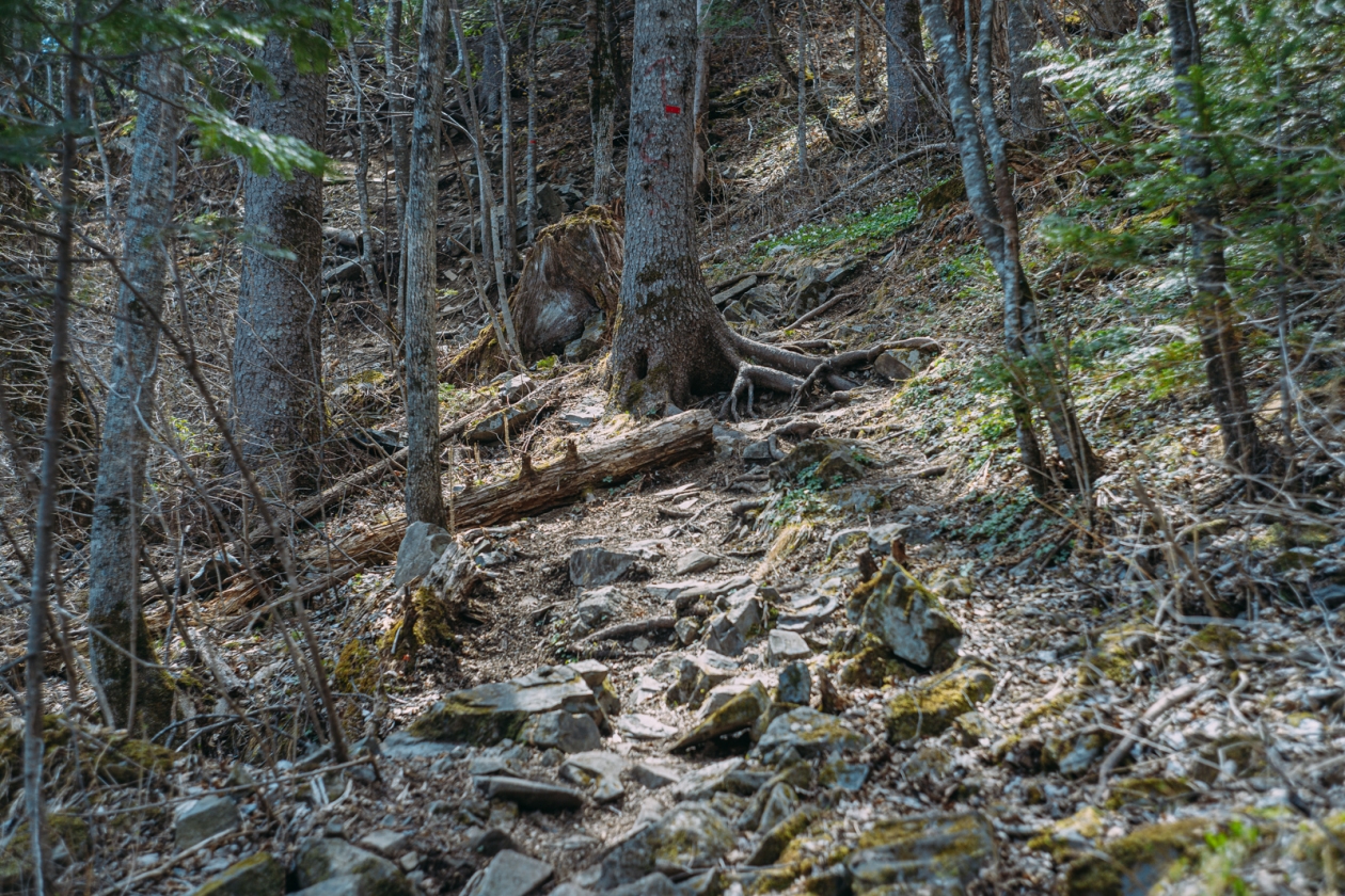 Тематическое фото Мария Смитюк, ИА PrimaMedia