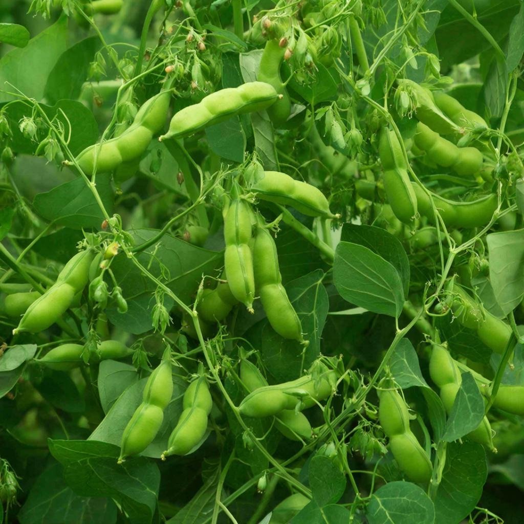 Тематическая картинка GigaChat (18+)