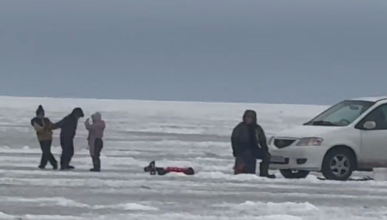 Скриншот тг-канал &quotprimgochs&quot (18+)