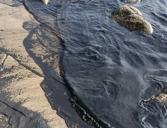 Скриншот тг-канал &quotПриморье! Осторожно, фейк&quot (18+)