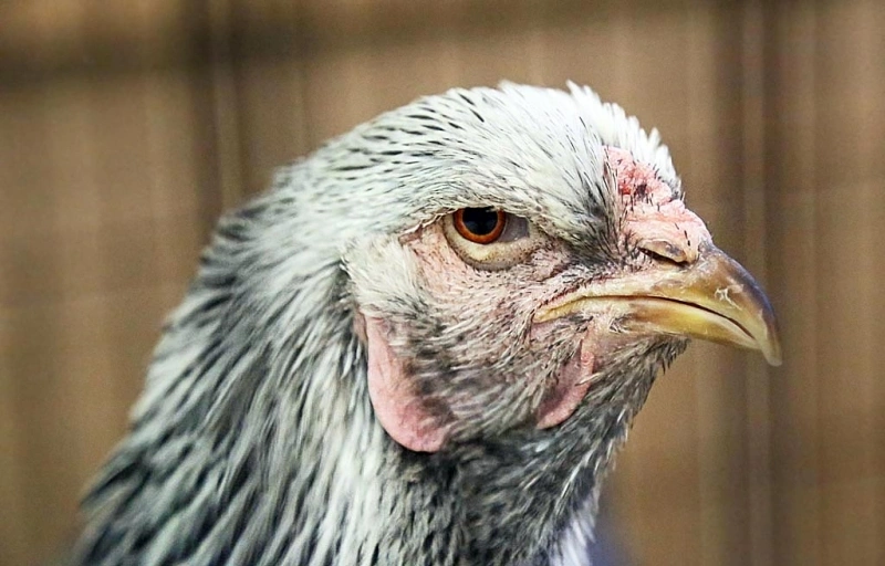 Тематическая фотография ИА PrimaMedia