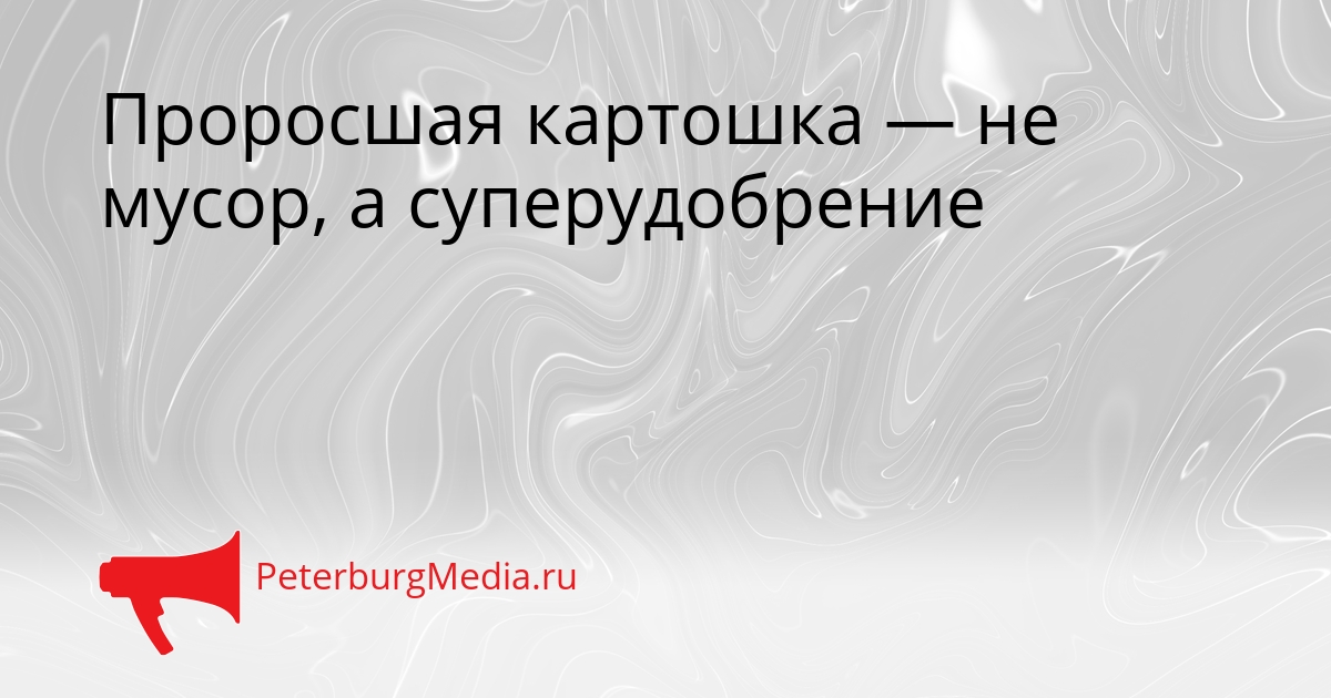 Проросшая картошка — не мусор, а суперудобрение Сгенерировано