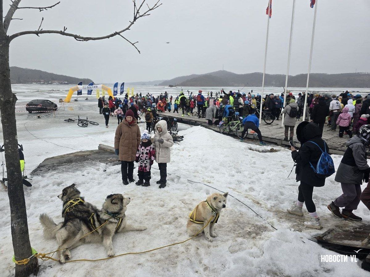 Tg-канал «newsvl» (18+)