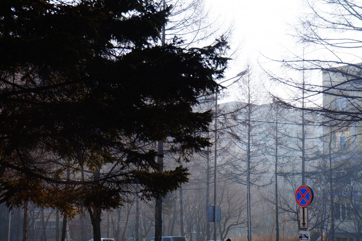 Погода в Уссурийске Ольга Долгополова, ИА UssurMedia