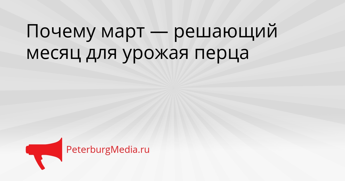 Почему март — решающий месяц для урожая перца Сгенерировано