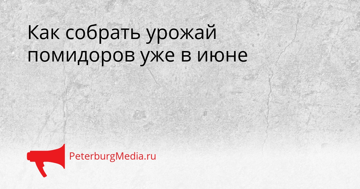 Как собрать урожай помидоров уже в июне Сгенерировано