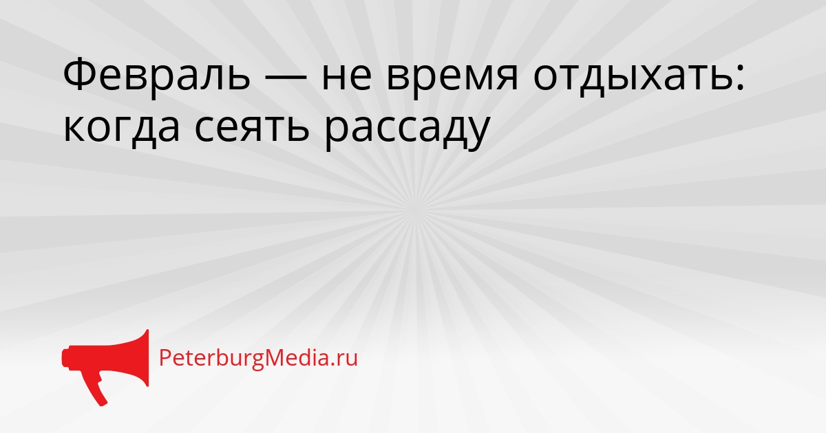 Февраль — не время отдыхать: когда сеять рассаду Сгенерировано
