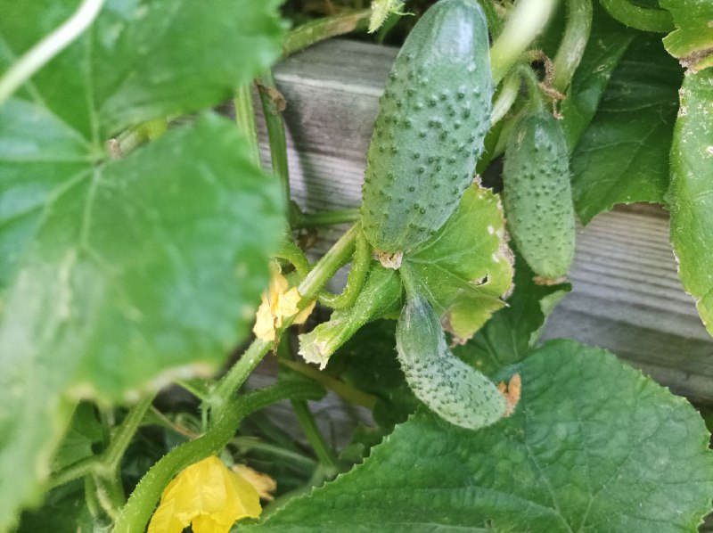 Тематическое фото Фото автора