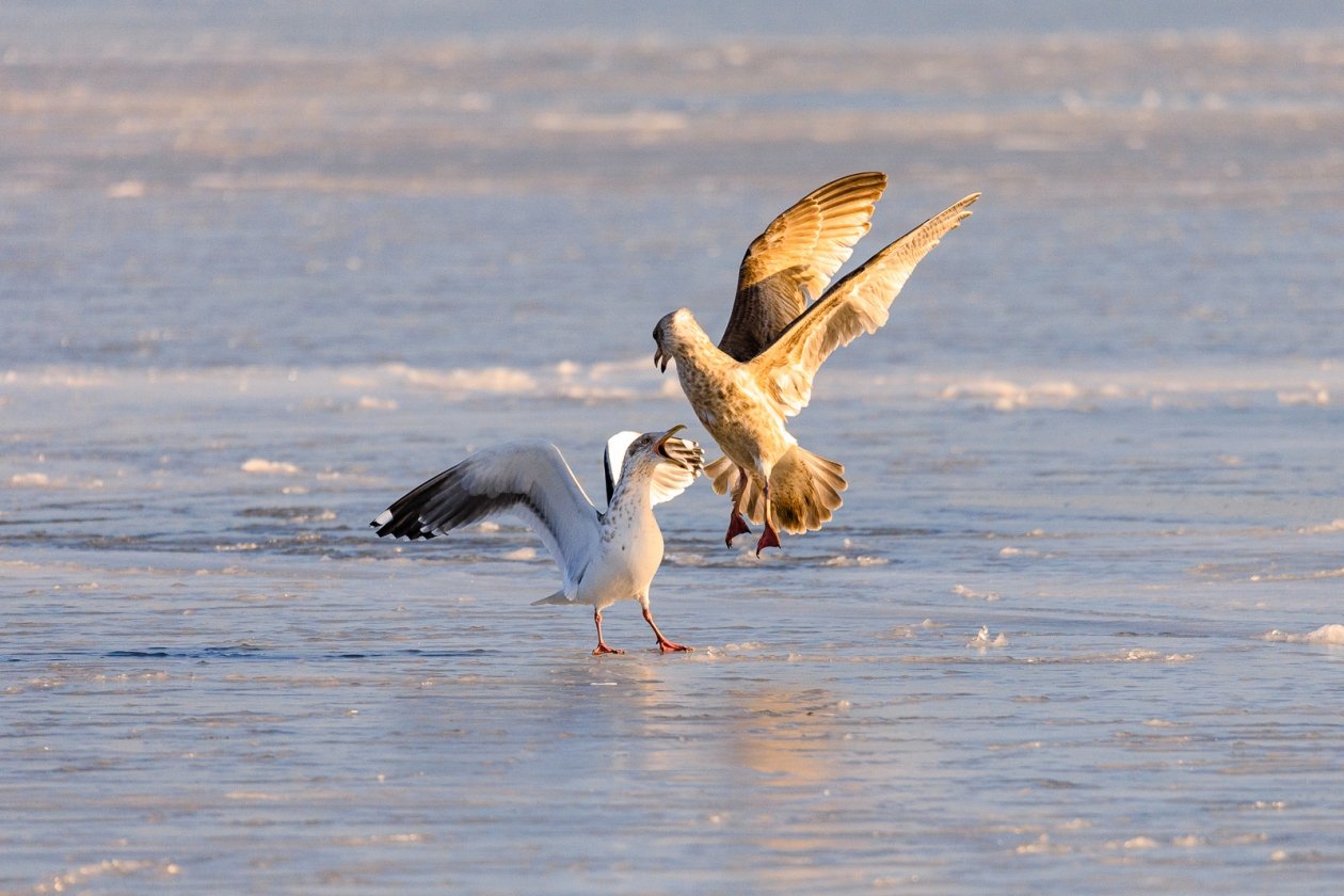 Тематическое фото Евгений  Кулешов, ИА PrimaMedia.ru