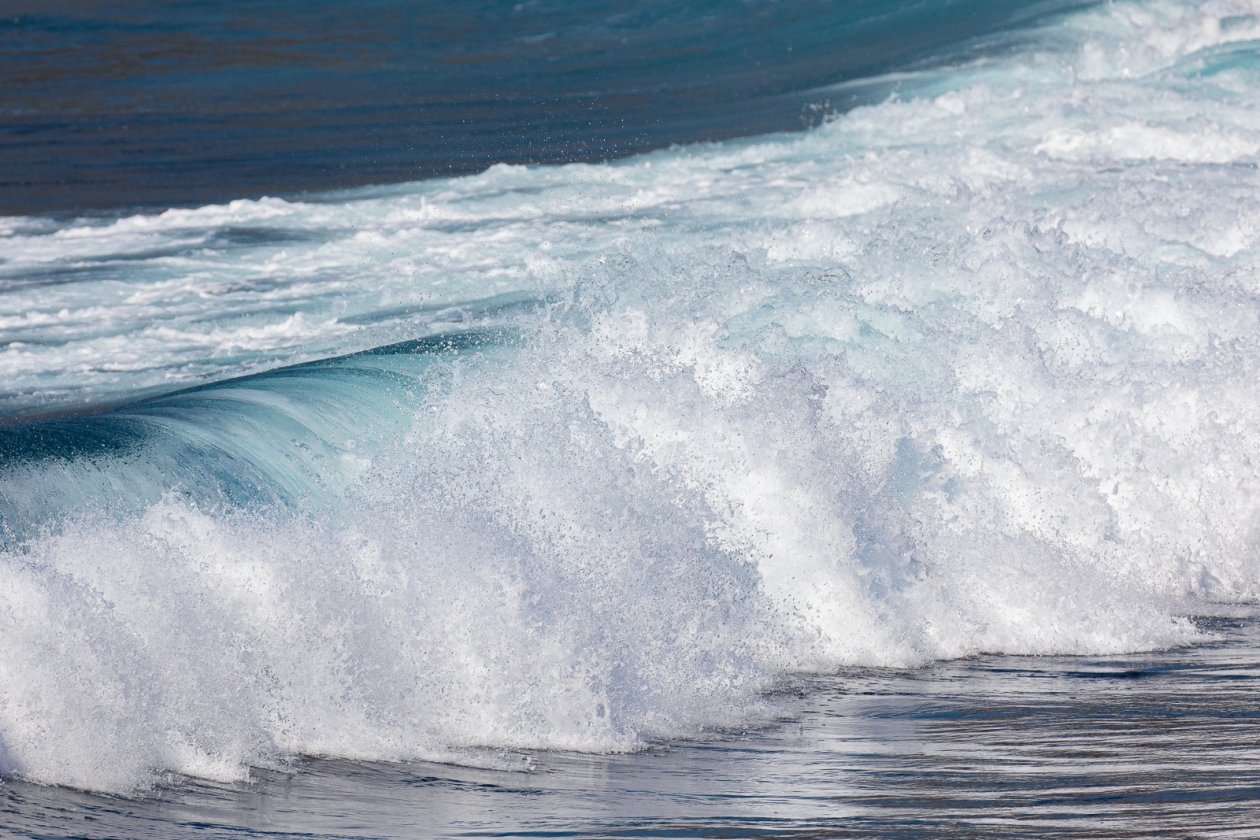 Не дайте себя развести на пальмах: выбор между Шри-Ланкой и Мальдивами с умом Илья Аверьянов, ИА PrimaMedia.ru