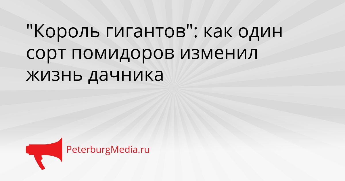 &quotКороль гигантов&quot: как один сорт помидоров изменил жизнь дачника Сгенерировано