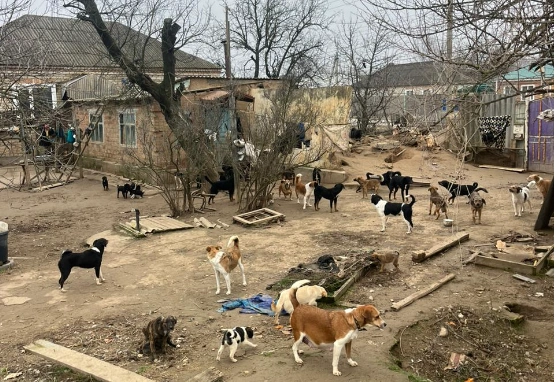 Из архива волонтёров фонда