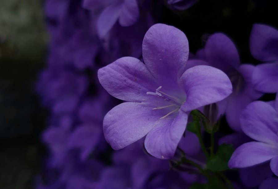 Тематическое фото unsplash.com