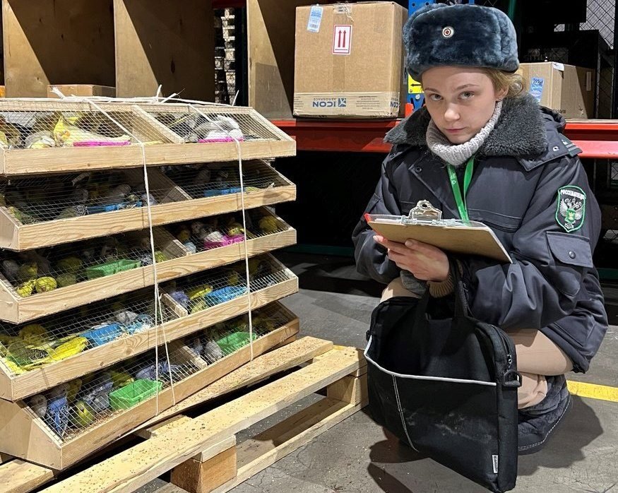 . пресс-служба управления Россельхознадзора по Красноярскому краю