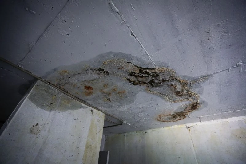 Тематическое фото ИА PrimaMedia