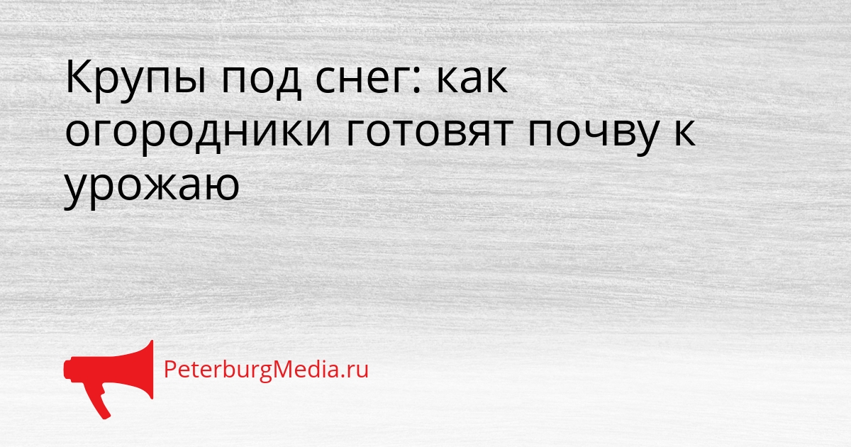 Крупы под снег: как огородники готовят почву к урожаю Сгенерировано