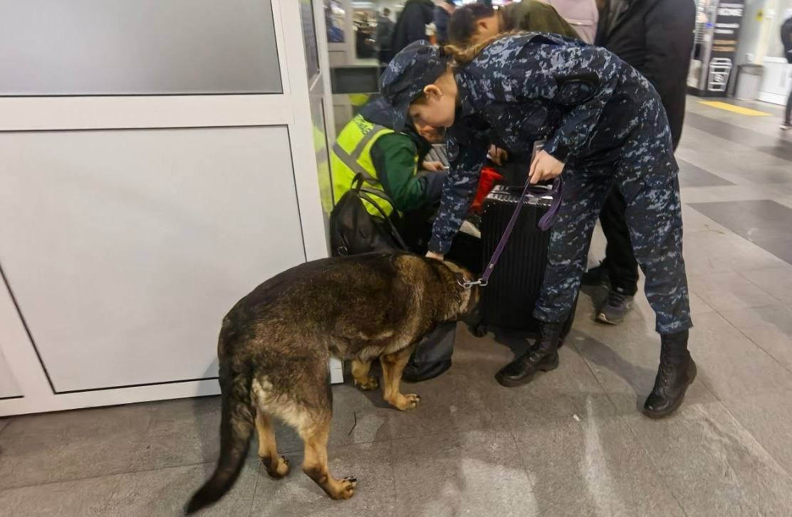 Собака Лети помогла задержать мужчину с пакетом наркотиков в аэропорту Иркутска Пресс-служба Восточно-Сибирского ЛУ МВД России на транспорте