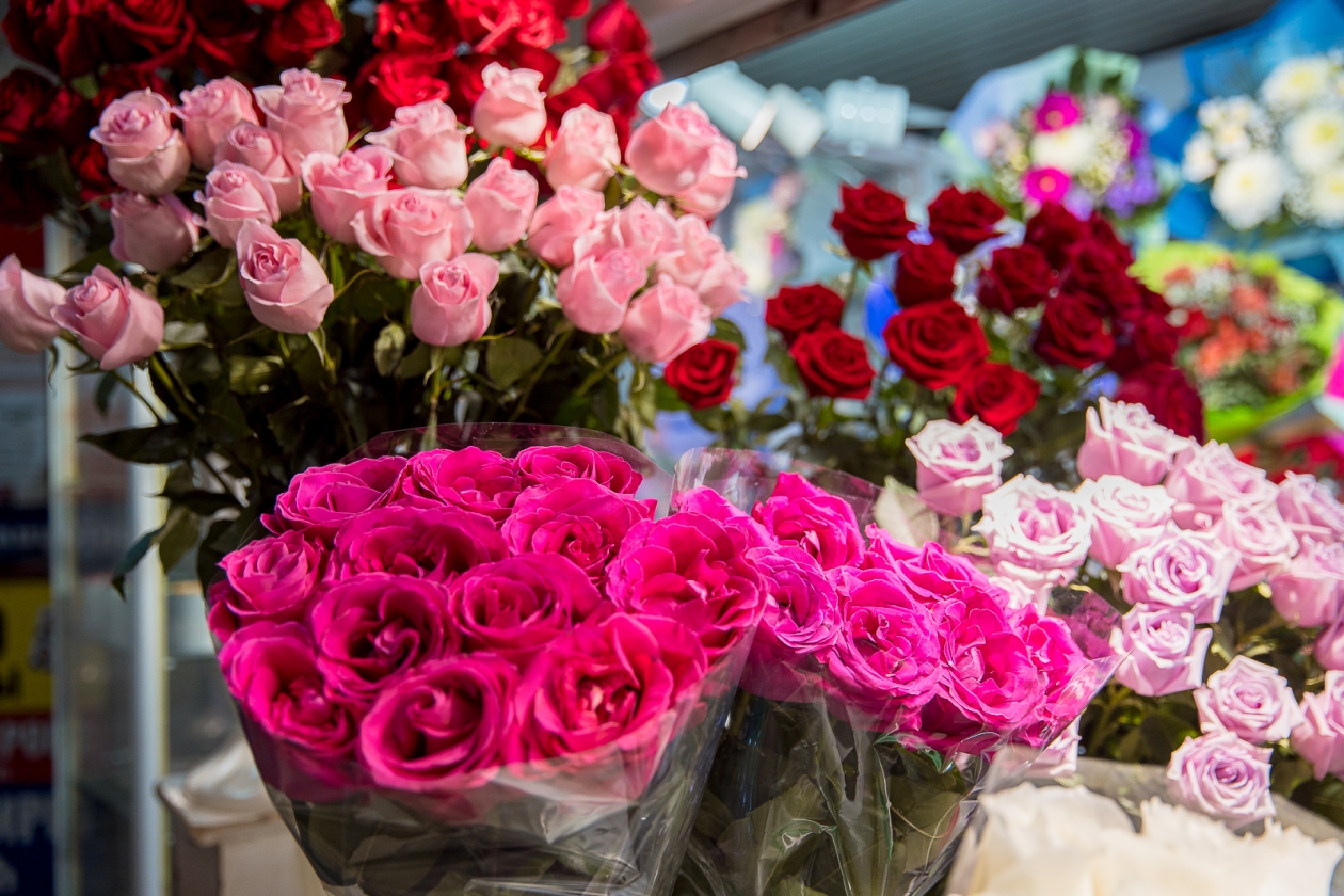 Армения и Турция обеспечат цветами женщин Кубани Илья Аверьянов, ИА PrimaMedia