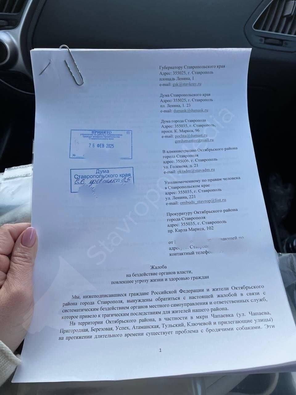 Гордей Звягин