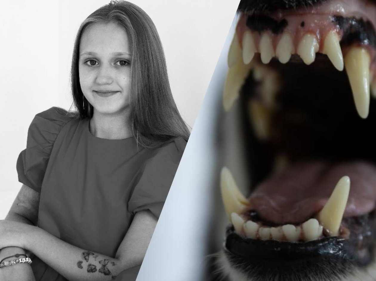 365 дней без Вероники: год назад стая собак загрызла 9-летнюю девочку в Ставрополе ИА Stavropol.Media
