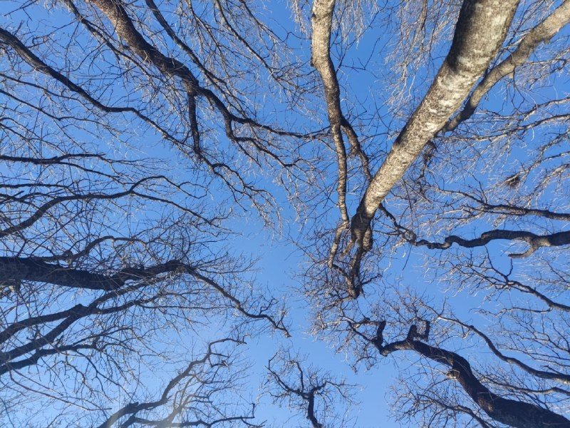 Беспилотную опасность объявили днём 24 февраля на территории Ставрополья ИА Stavropol.Media