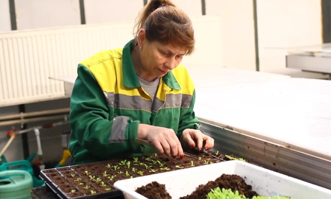 Кадр из видео Администрация Симферополя