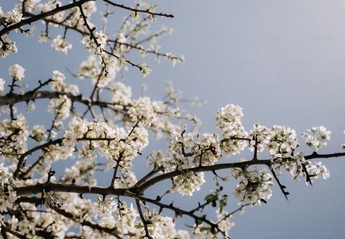 Тематическое фото unsplash.com