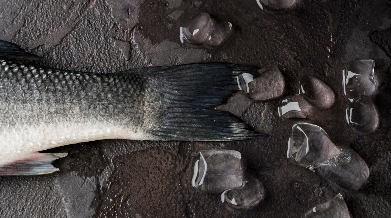 Тематическая фото freepik.com