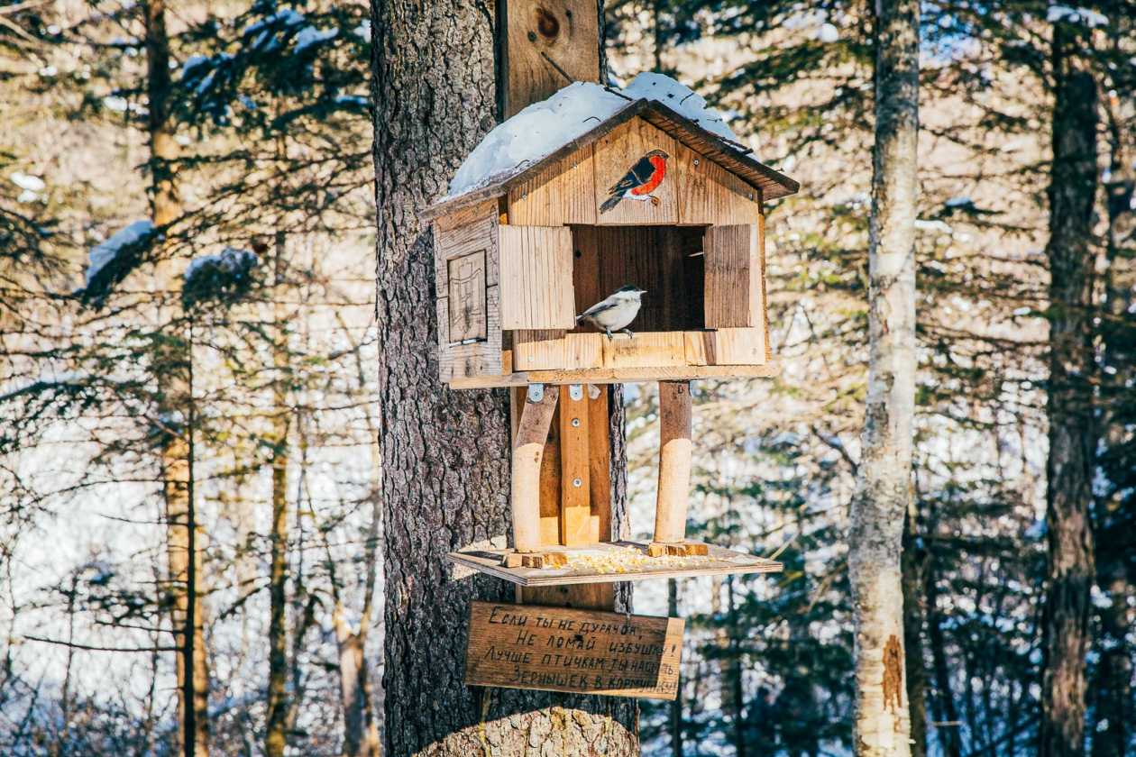 Тематическое фото ИА PrimaMedia