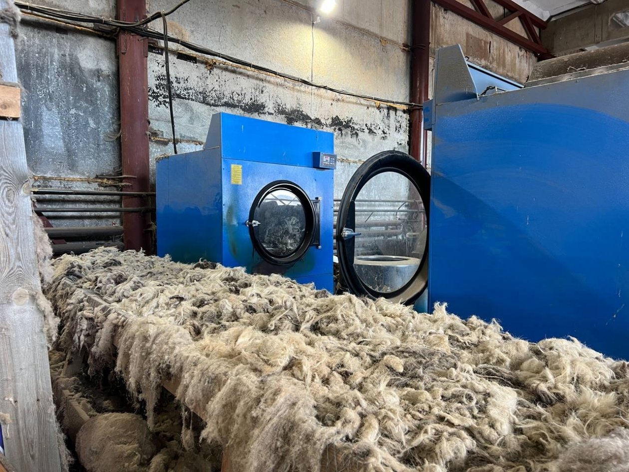 В Бурятии и Забайкалье создадут шерстяной кластер Минсельхоз Бурятии