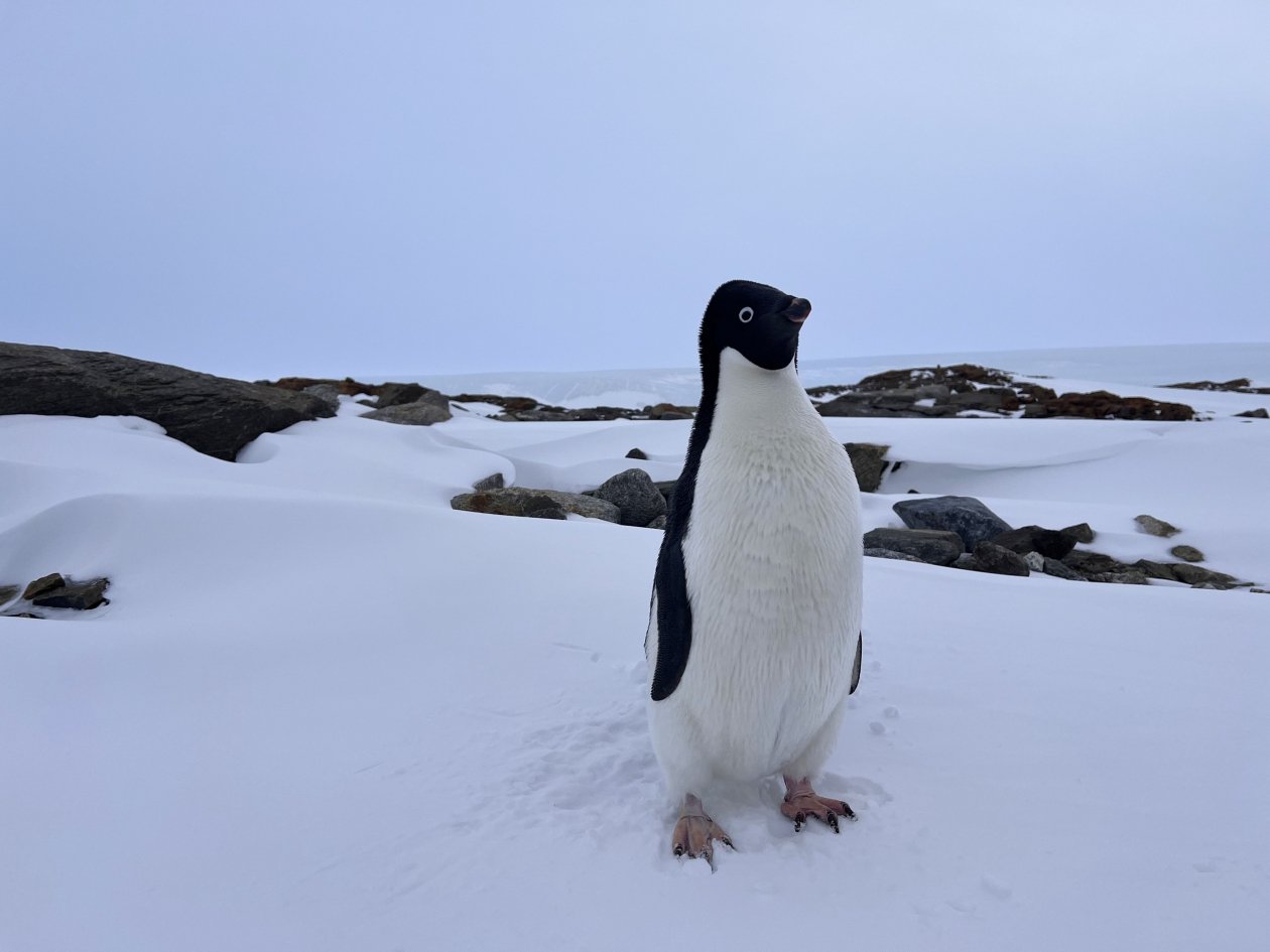 пресс-служба МТС