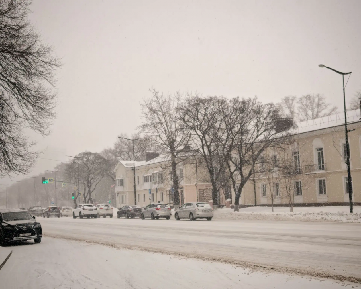 Сильные осадки ожидаются на юге Приамурья 26 февраля Юлия Ожегова, ИА PriamurMedia