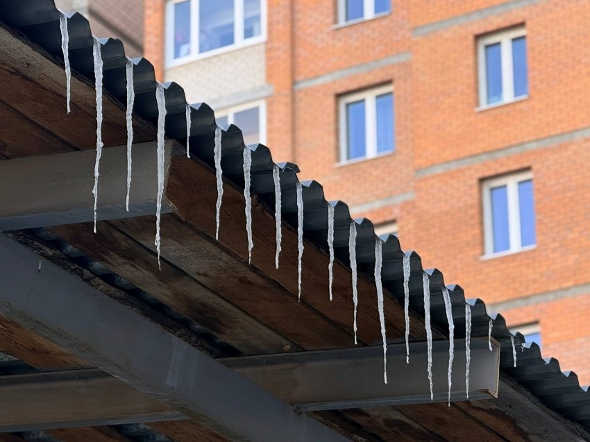 Сосульки Анастасии Чистяковой