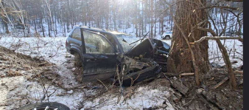 Внедорожник влетел в дерево на трассе в Приморье Пресс-служба УМВД России по Приморскому краю