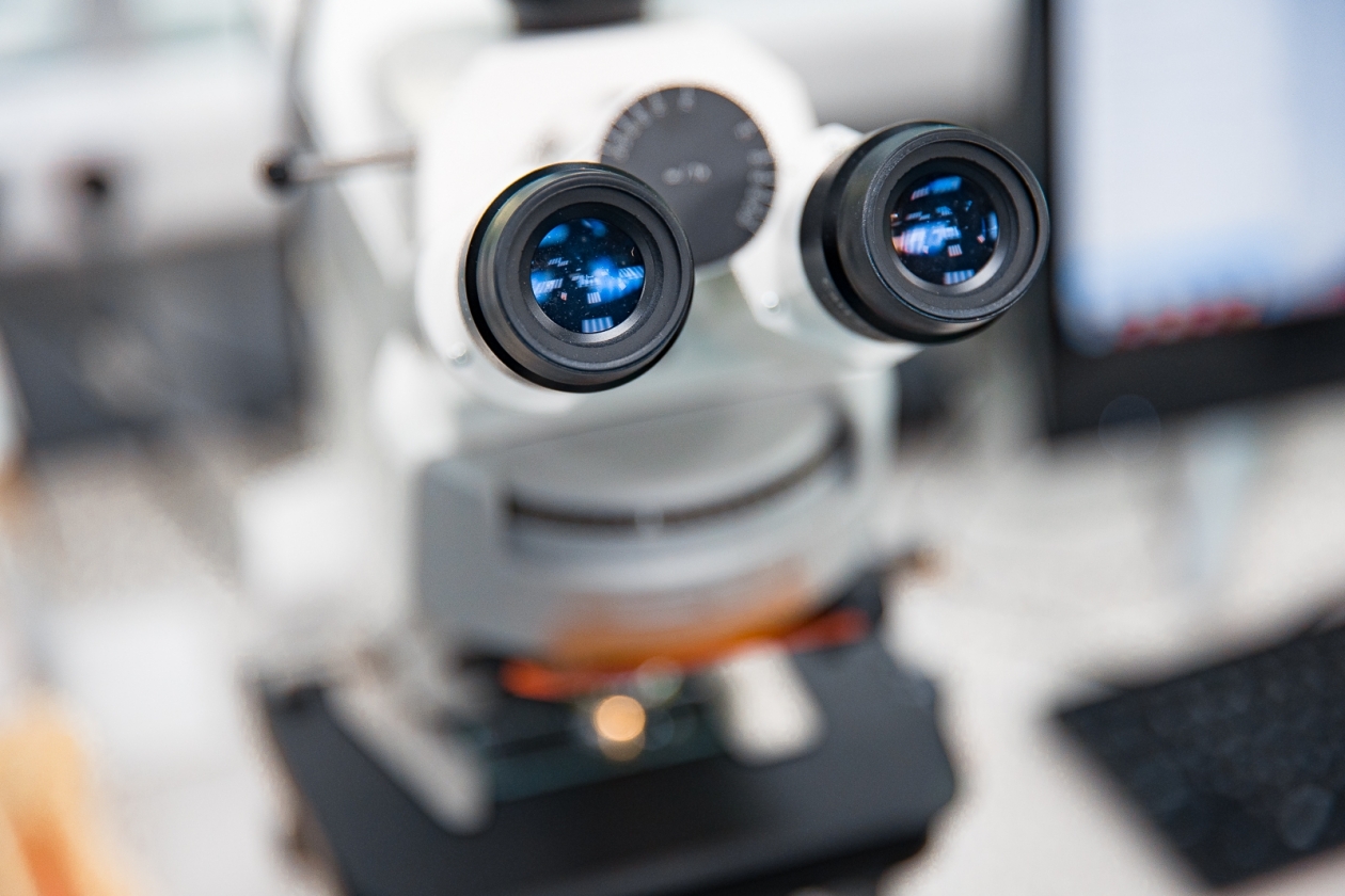 Микроскоп, исследования Илья Аверьянов, ИА PrimaMedia