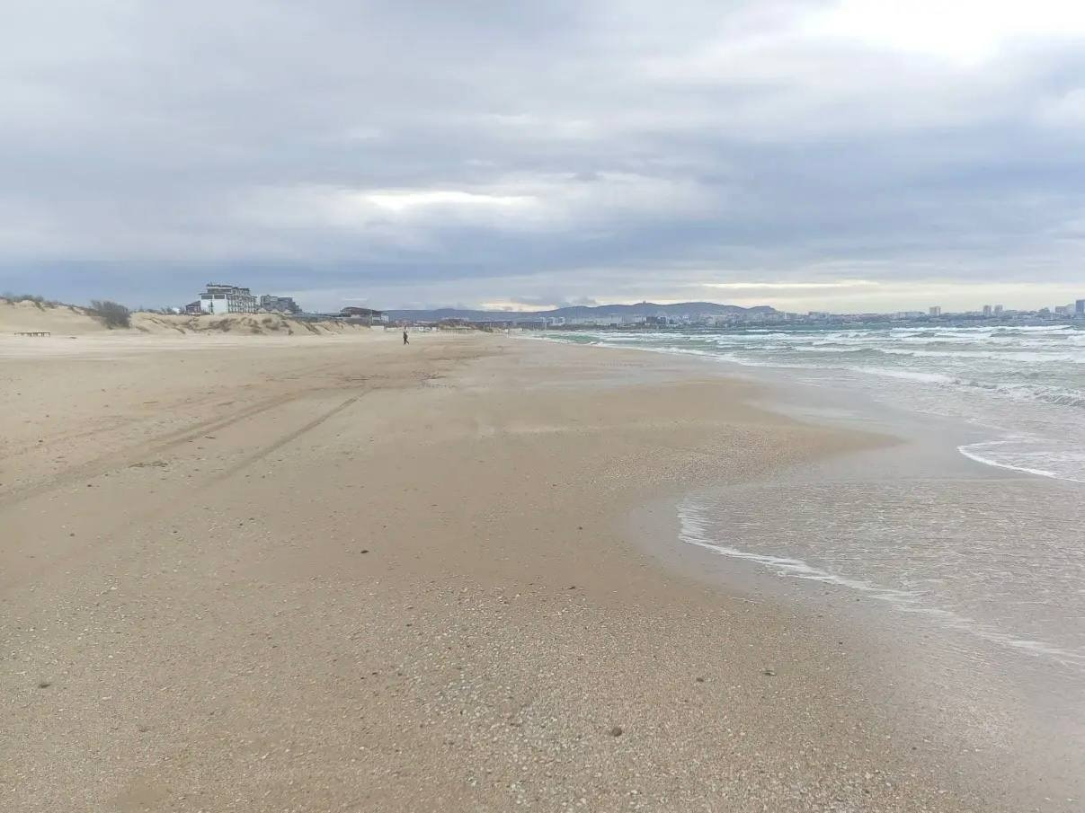 На пляжах Анапы восполнят потери песка после очистки от мазута Оперштаб Кубани