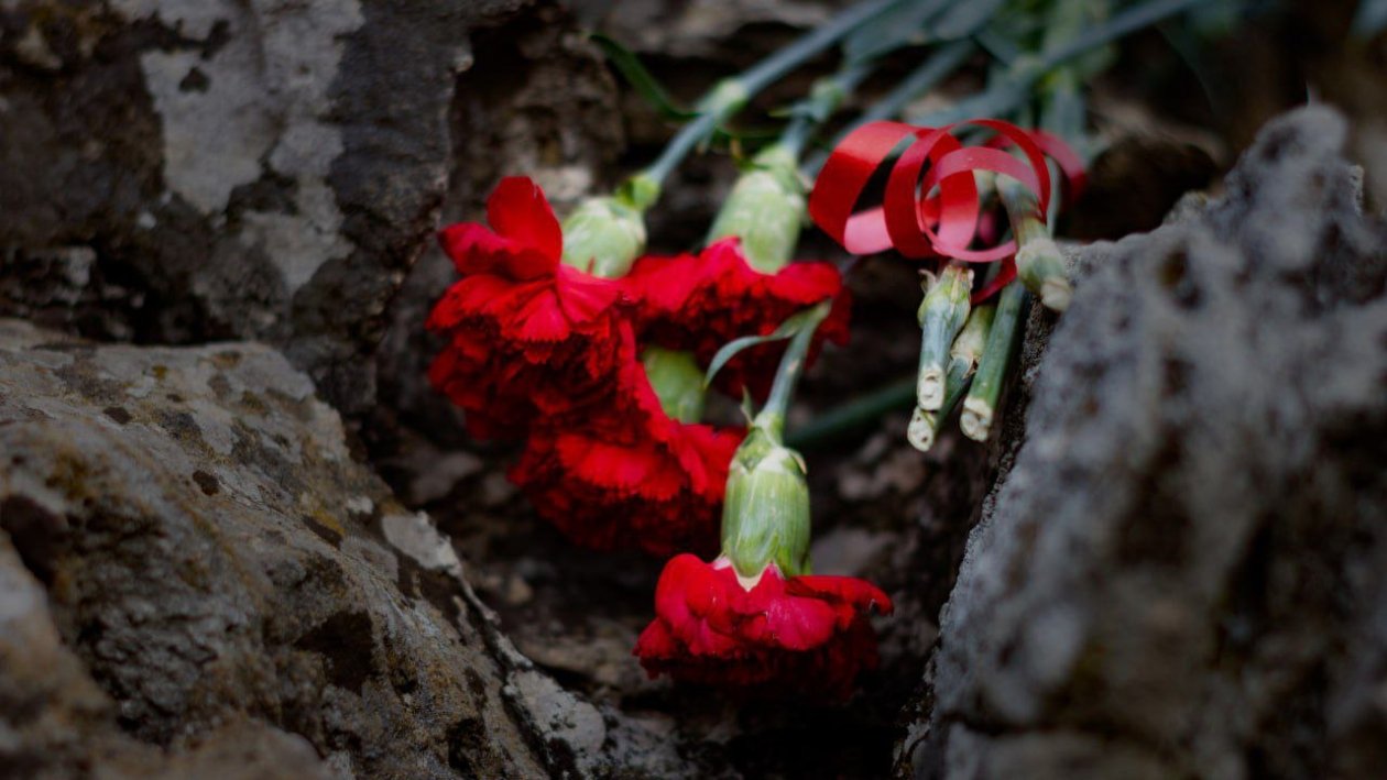 Тематическое фото ИА Stavropol.Media