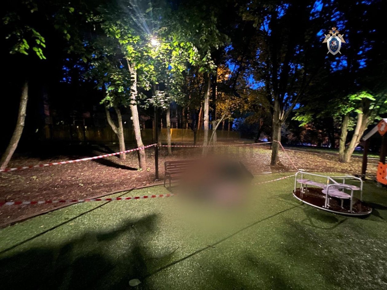 Тематическое фото Telegram-канал ГСУ Следственного комитета России по Москве