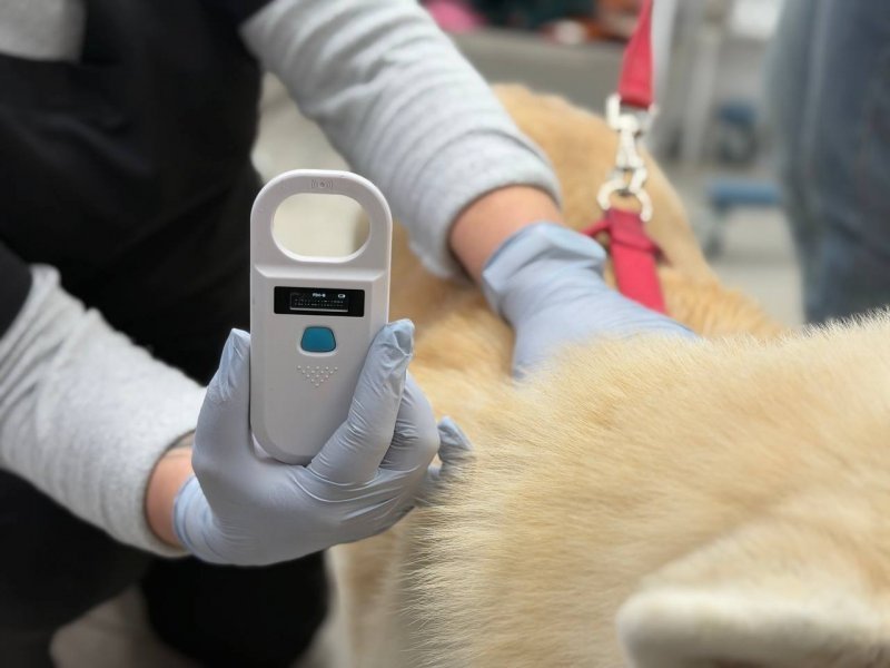 Правительство Севастополя