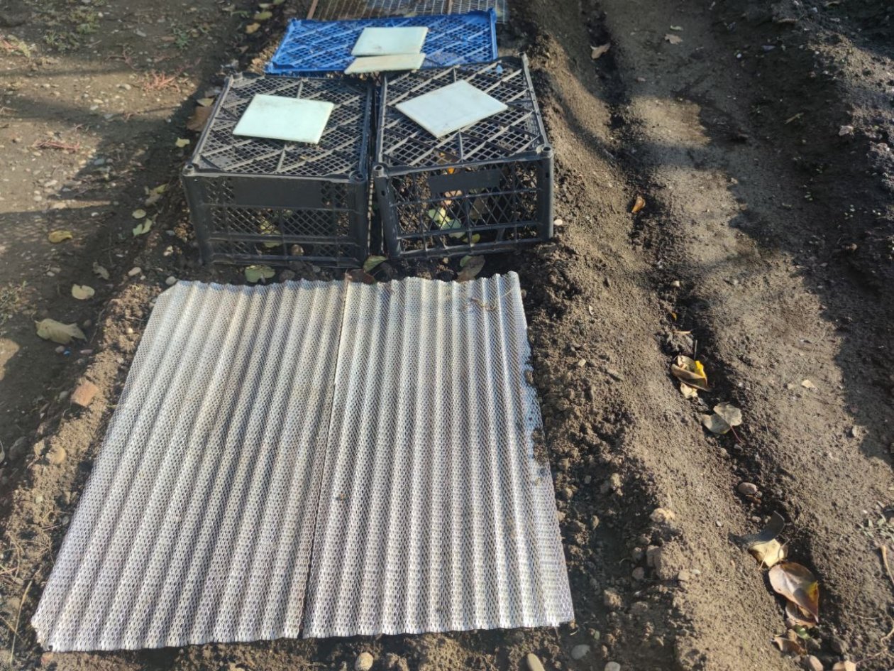 Прополка — прошлый век: умные дачники по весне используют 1 вещь — сорняков нет весь сезон ИА KrasnodarMedia