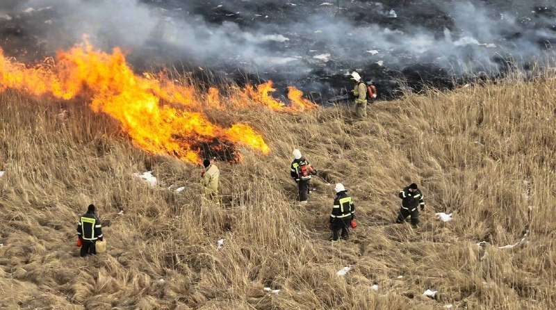 Крупный пожар в Приморье потушен пресс-служба МинГОЧС Приморья