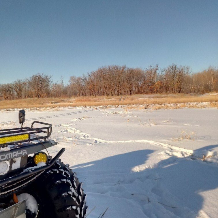 Тематическое фото департамент по охране и использованию объектов животного мира ЕАО