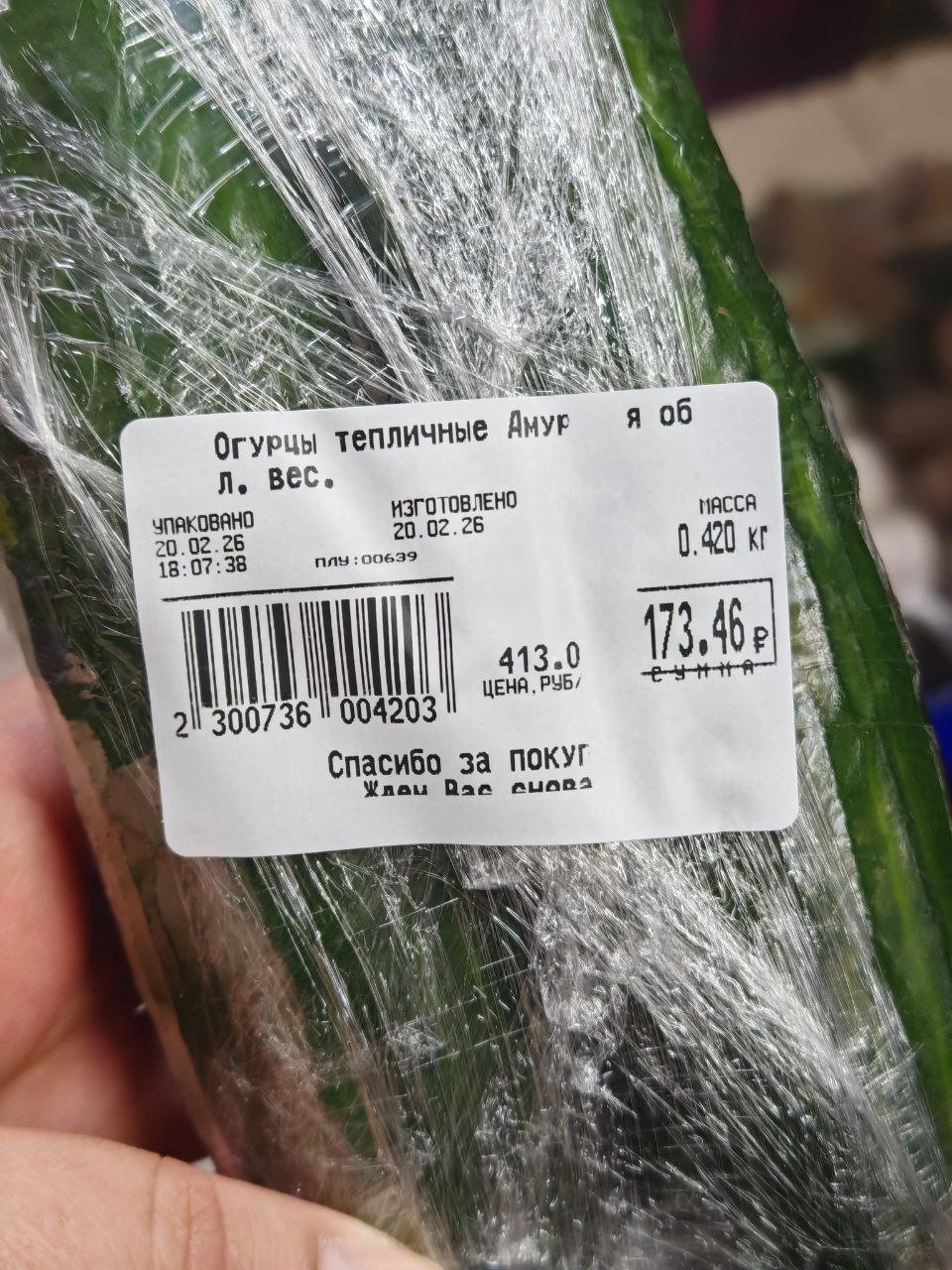 Юлия Ожегова, ИА PriamurMedia