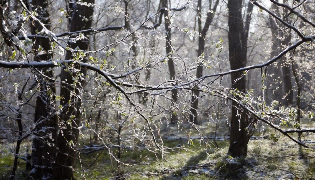 Изображение GigaChat (18+)