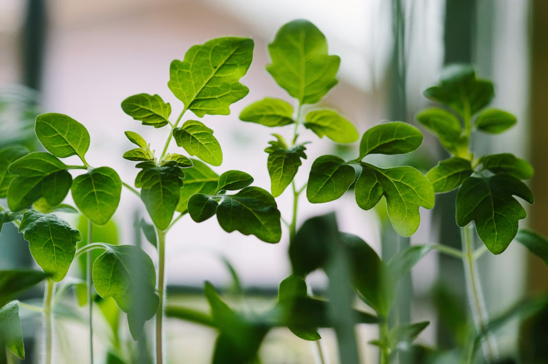 Тематическое фото unsplash (18+)