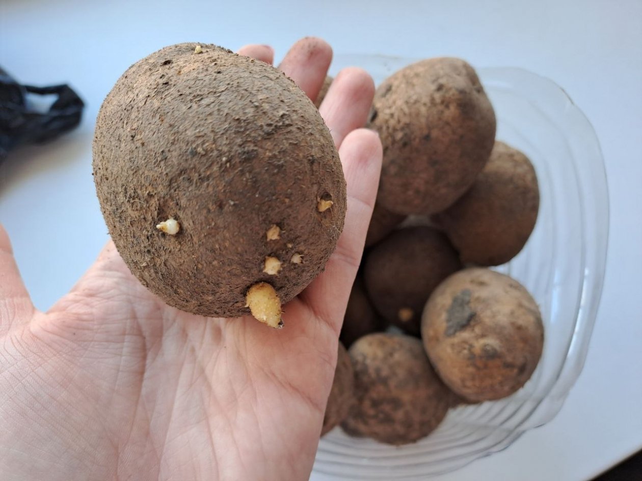 Тематическое фото Ольга Долгополова, ИА UssurMedia